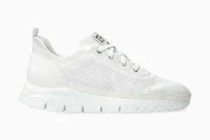 Onyx - White